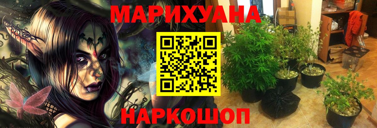 Марихуана конопля  Бошки марихуана Ganja  Марихуана OG Kush  Вход с VPN  Новозыбков 